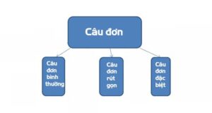 Câu Đơn, Câu Ghép, Câu Phức Trong Tiếng Anh Là Gì Và Cách Sử Dụng